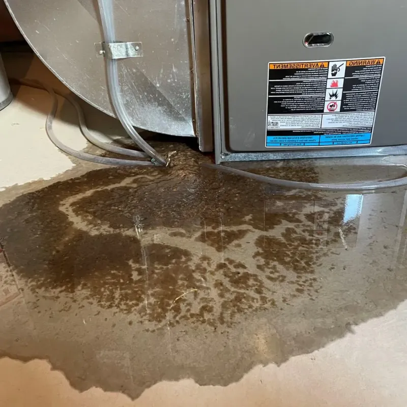 Pipe Burst and Leak Restoration in Larchmont, NY